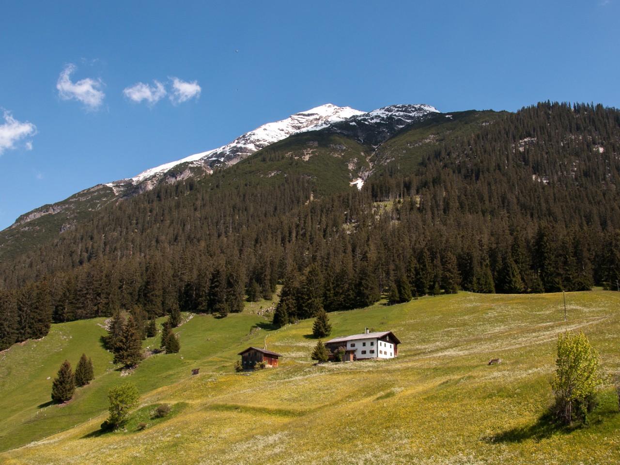  Oberellenbogen